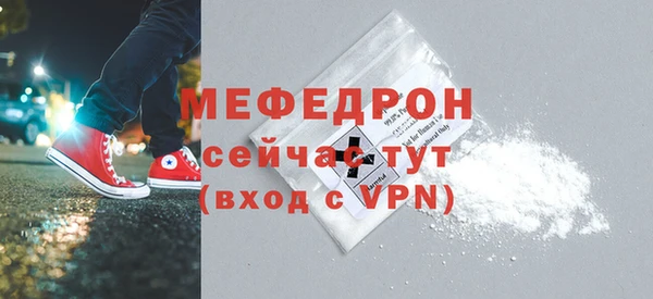 МДПВ Бородино