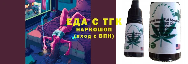 МДПВ Бородино