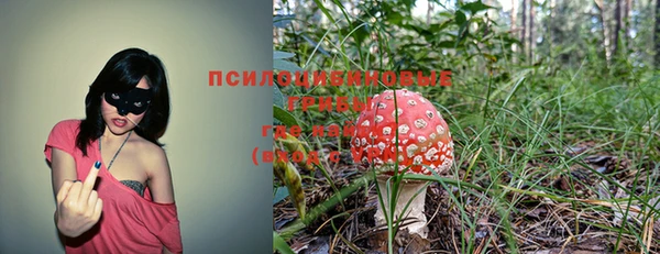 соль курить ск Бугульма
