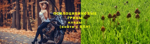 a pvp Богородицк