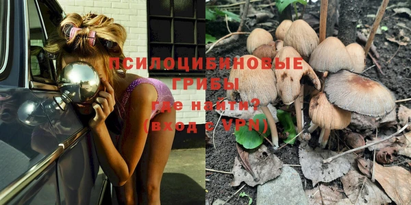 a pvp Богородицк
