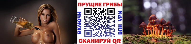 Псилоцибиновые грибы GOLDEN TEACHER  Джанкой 