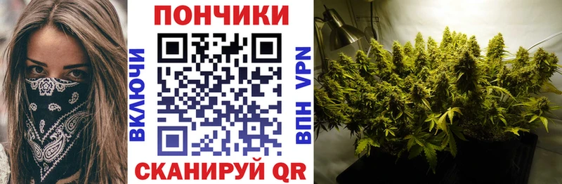 Шишки марихуана конопля  Джанкой 
